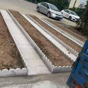 龙岩芝麻白花边石